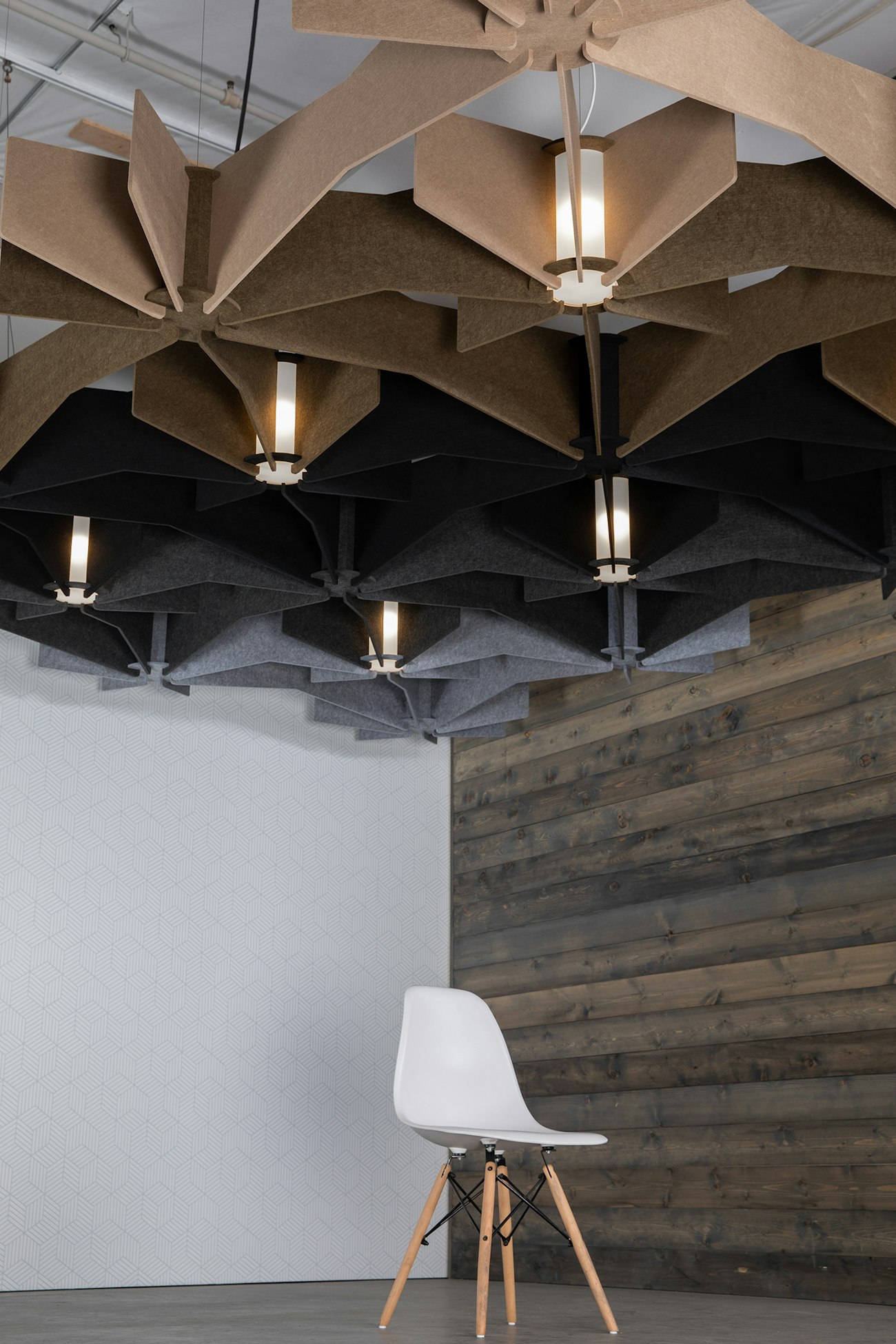 LIGHTART ECHO LỚP 6web